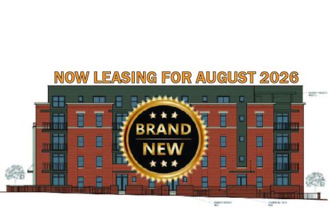 01 DC Brand New South